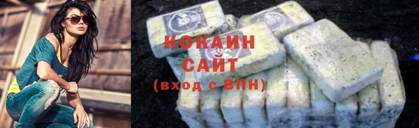 дмт Новозыбков