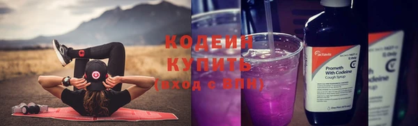 дмт Новозыбков