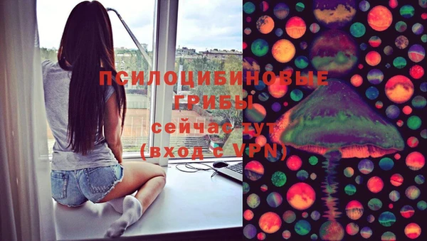 прущая мука Алзамай