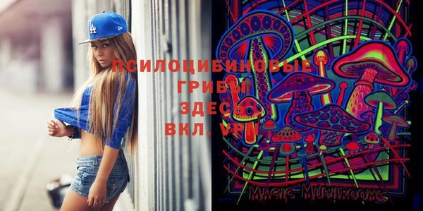 прущая мука Алзамай