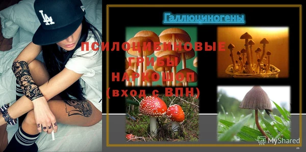 прущая мука Алзамай
