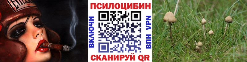 Галлюциногенные грибы GOLDEN TEACHER  дарк нет Telegram  Камешково  купить  цена 